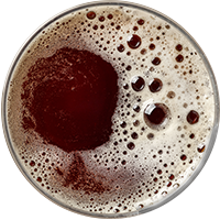 https://www.lesbrasseursdelavie.com/wp-content/uploads/2017/05/beer_transparent_02.png